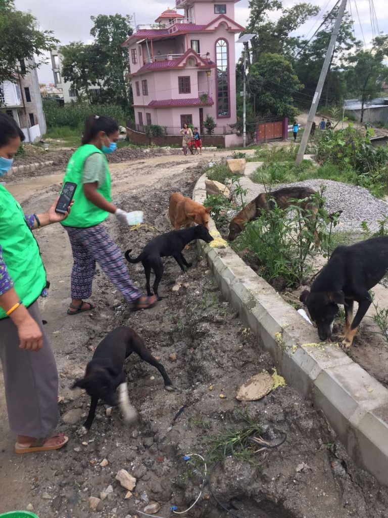 VOAN - Voice of Animal Nepal | Animal and Dog NGO